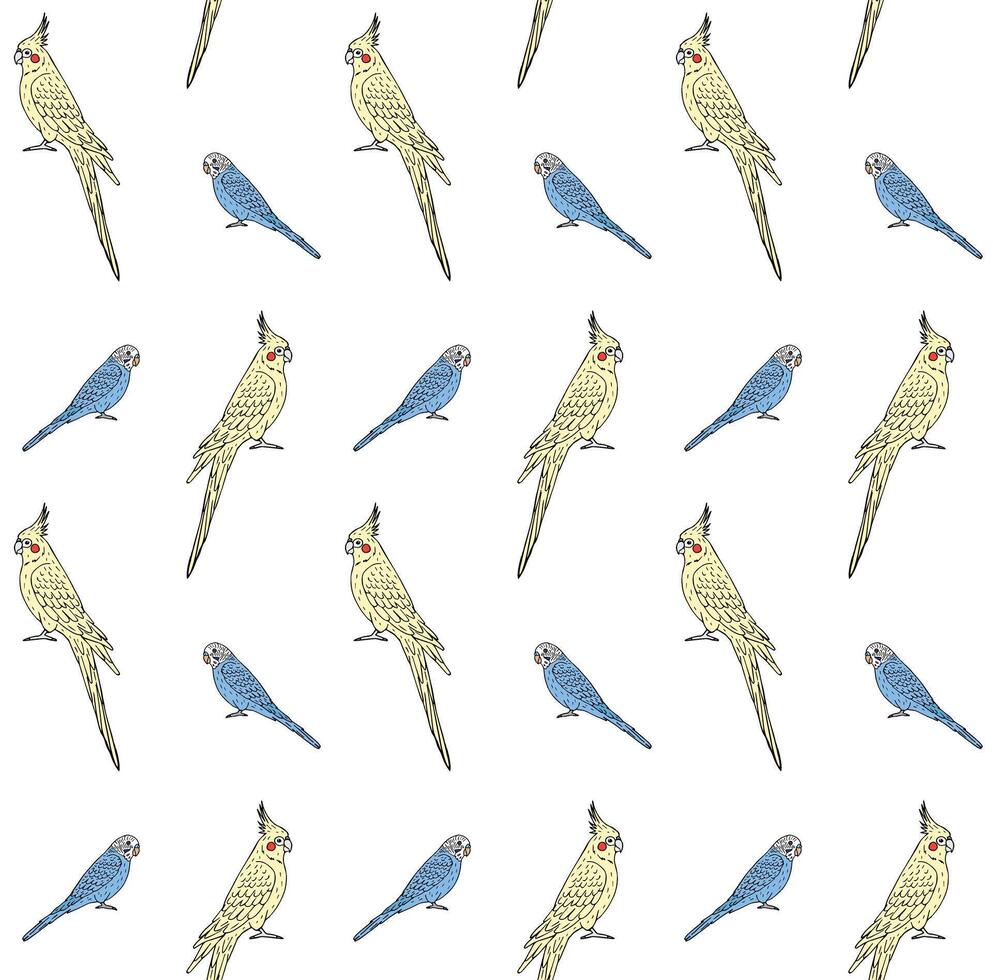 Vector seamless pattern of budgie and cockatiel