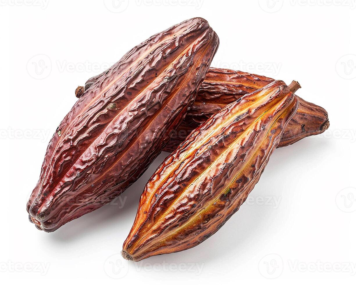 AI generated A pile of cocoa pods isolated on white background. Close-up Shot. photo