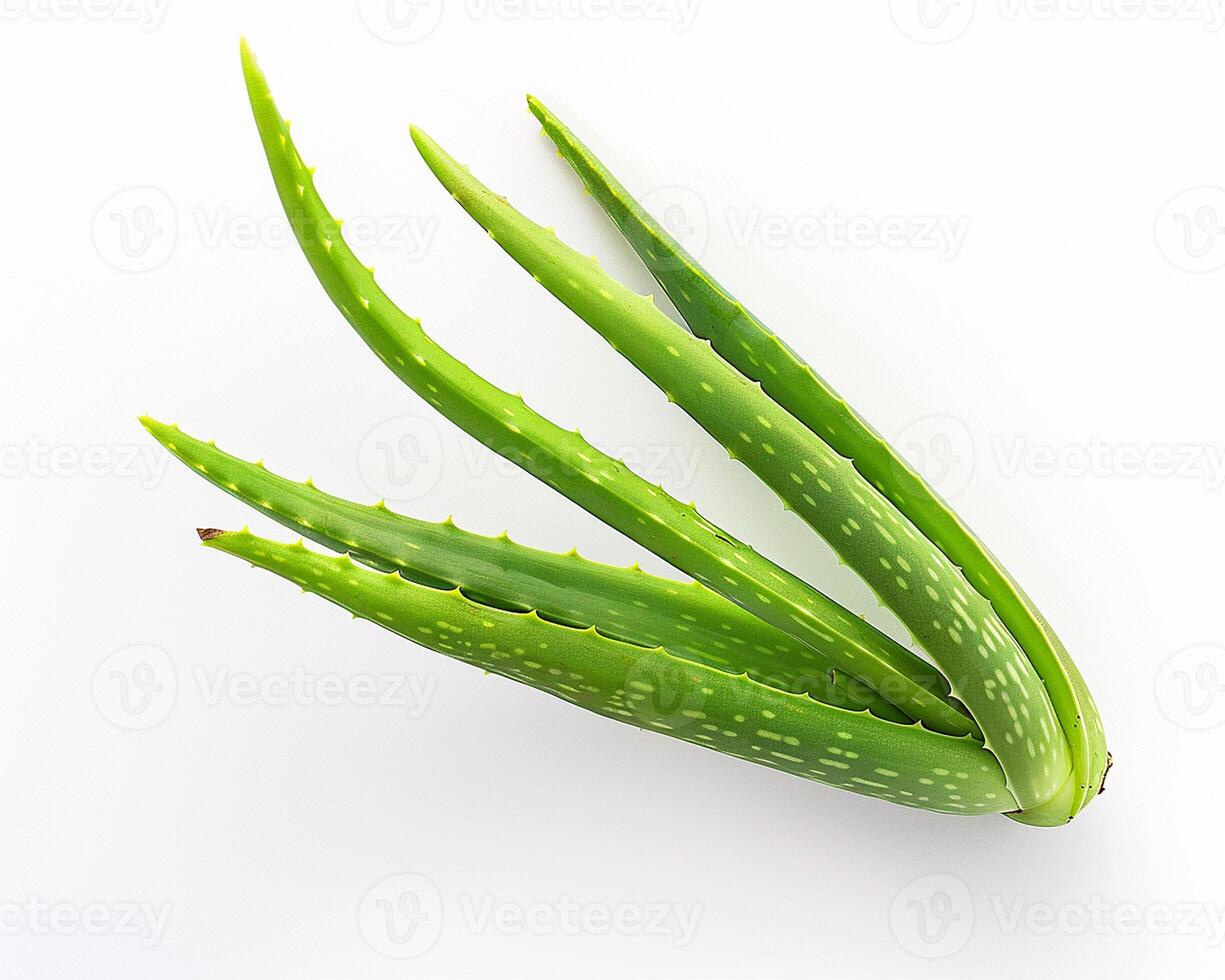 AI generated Fresh aloe vera isolated on white background. Close-up Shot. photo