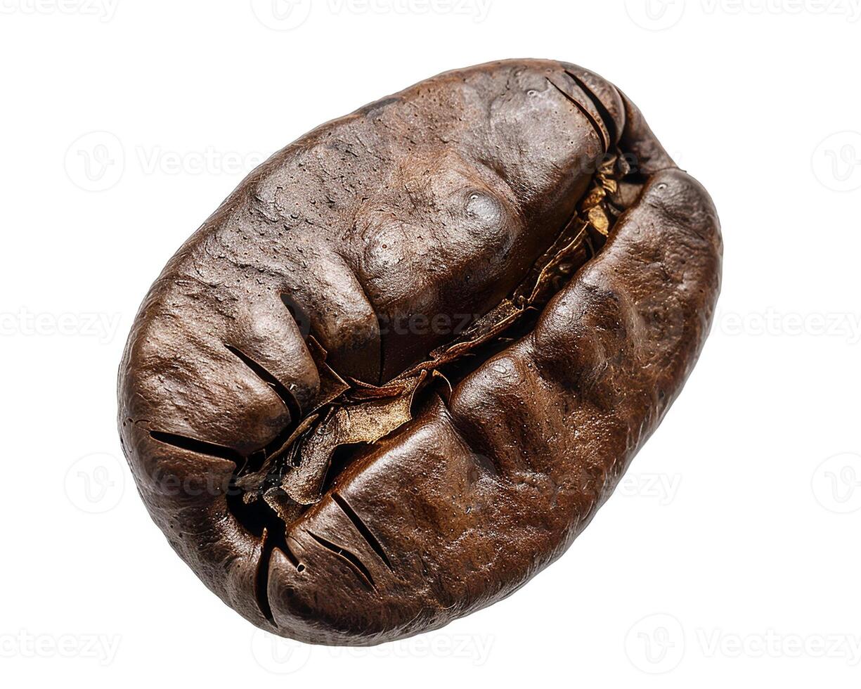 AI generated Fresh coffee bean isolated on white background. Close-up Shot. photo