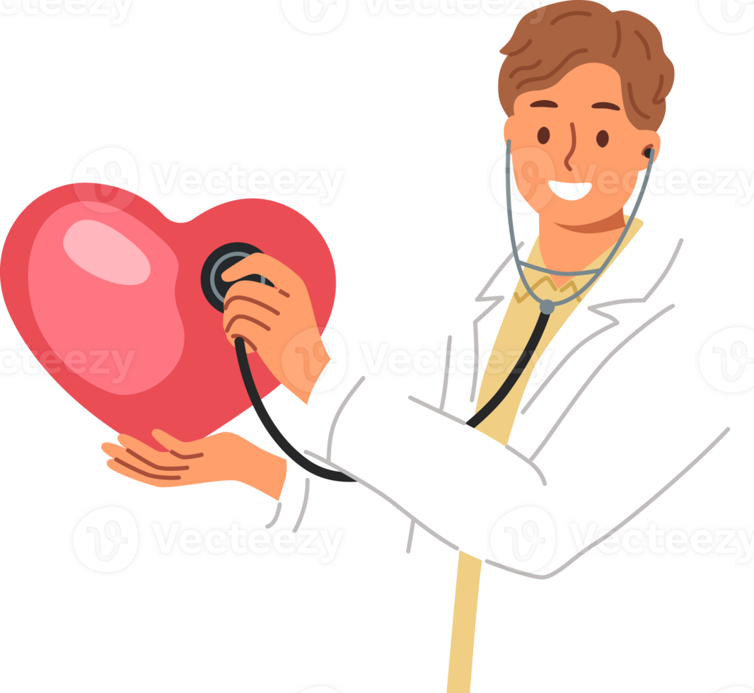 homme médecin avec stéthoscope dans mains détient grand cœur, donnant leçon sur règles de diagnostic pour gens avec cardio maladie. médecin traite cardio problèmes dans les patients avec pathologique symptômes png