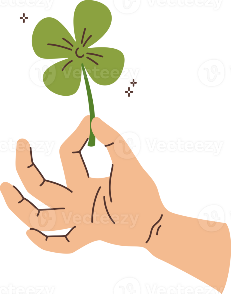 Clover in hand of man who picked plant and made wish to achieve good luck and fortune. Green quatrefoil clover symbolizes holiday of Saint Patrick Day promising growth or prosperity png