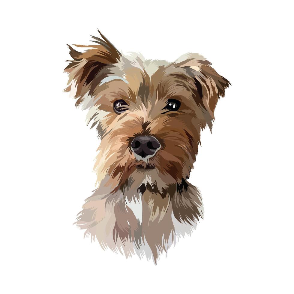 vector perro retrato ilustracion