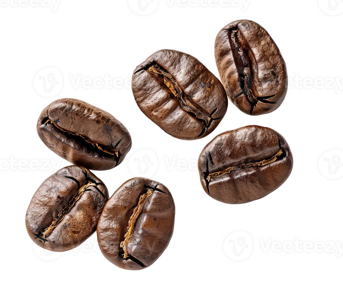 AI generated Coffee beans isolated on transparent background png