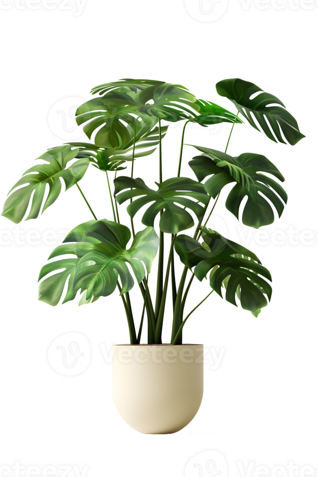 ai generiert Monstera Pflanze im Topf isoliert auf transparent Hintergrund png