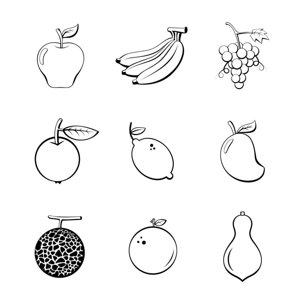 fruit line art vector design