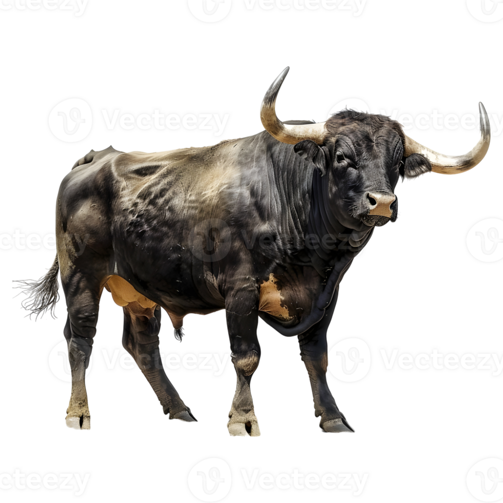AI generated Spanish Black Bull on Transparent background - Ai Generated png
