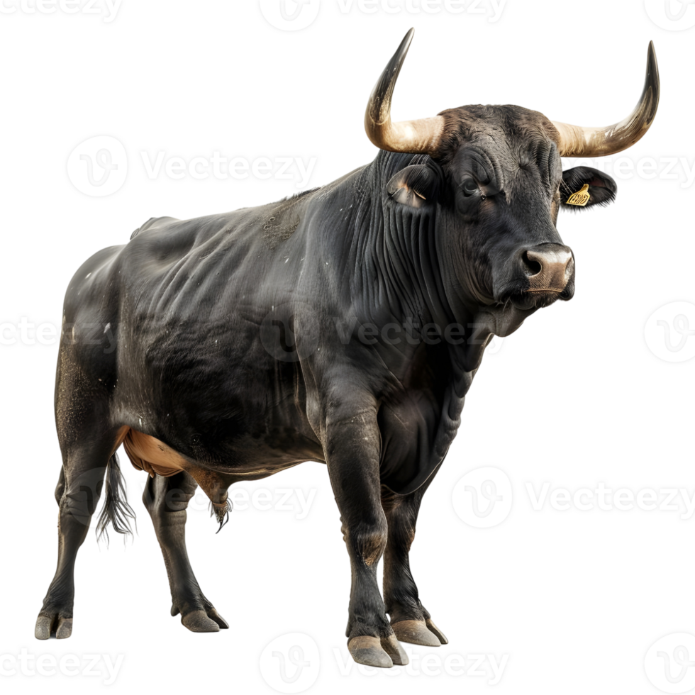 AI generated Spanish Black Bull on Transparent background - Ai Generated png