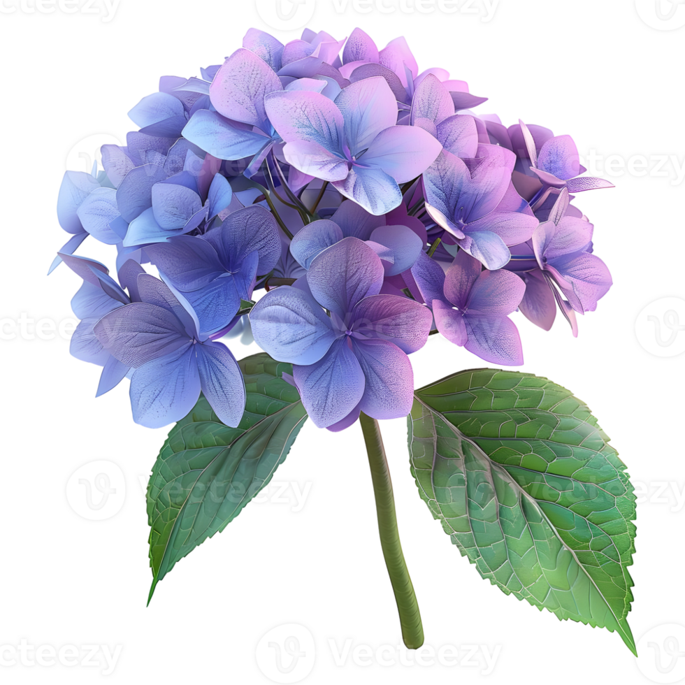 AI generated 3D Rendering of a Hydrangea Flower on Transparent Background - Ai Generated png