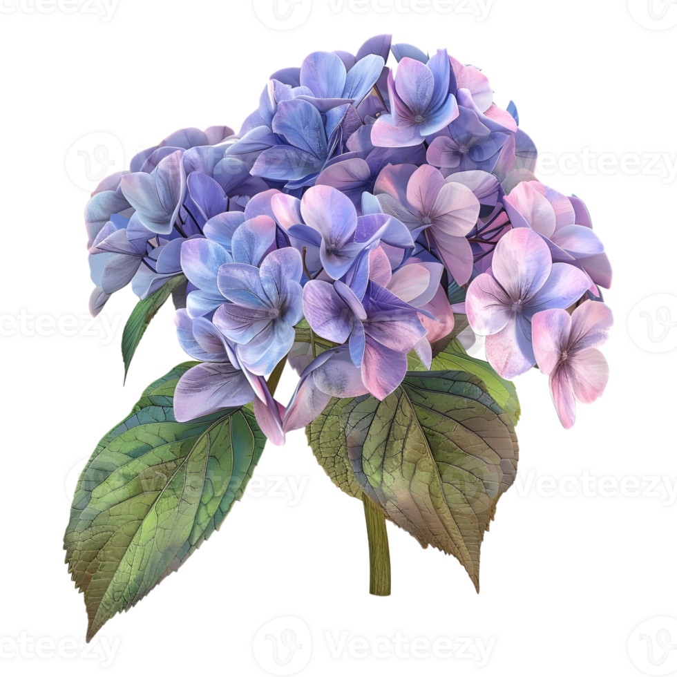 AI generated 3D Rendering of a Hydrangea Flower on Transparent Background - Ai Generated png