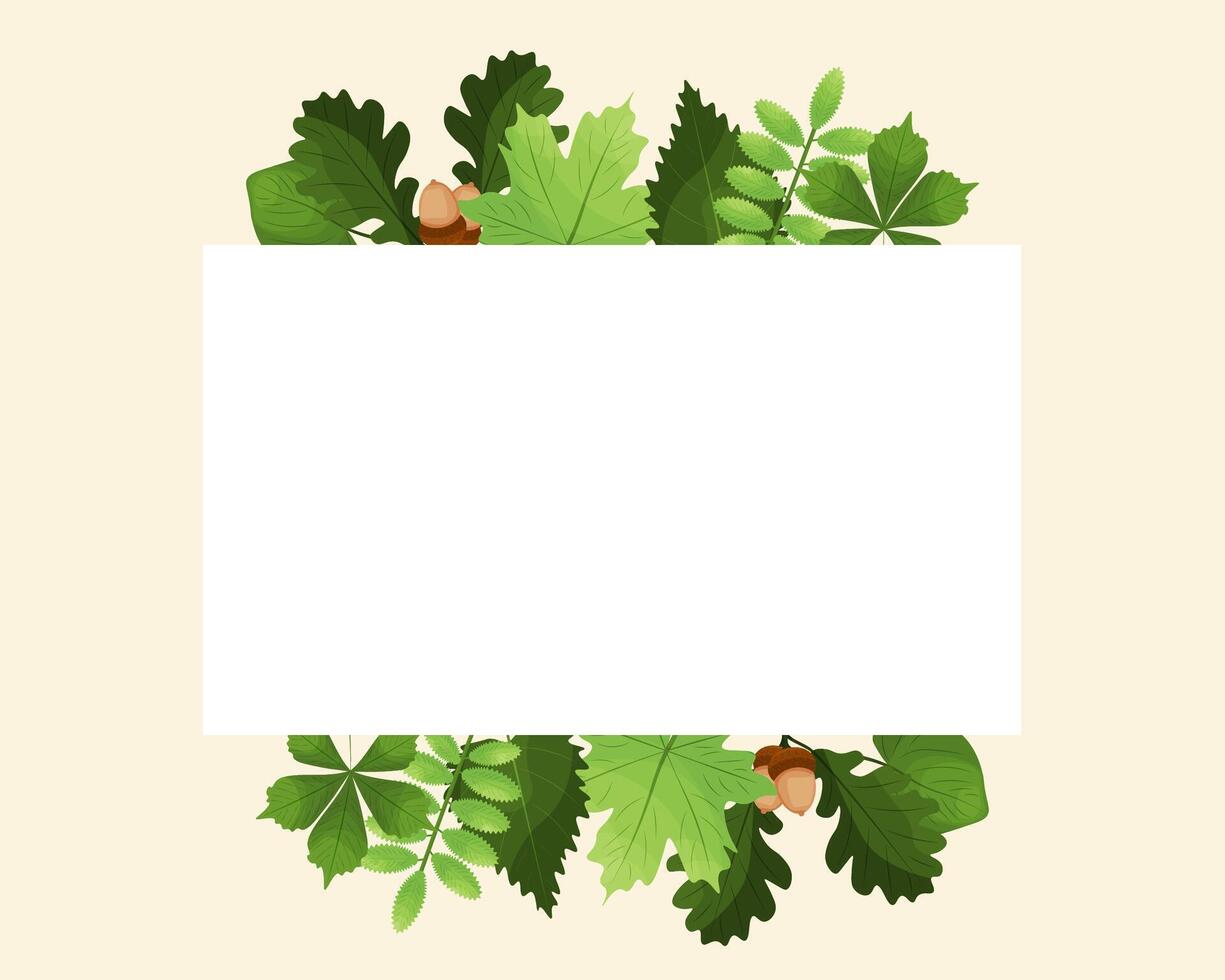 empty frame with green forest leaves. vector illustration. place for text