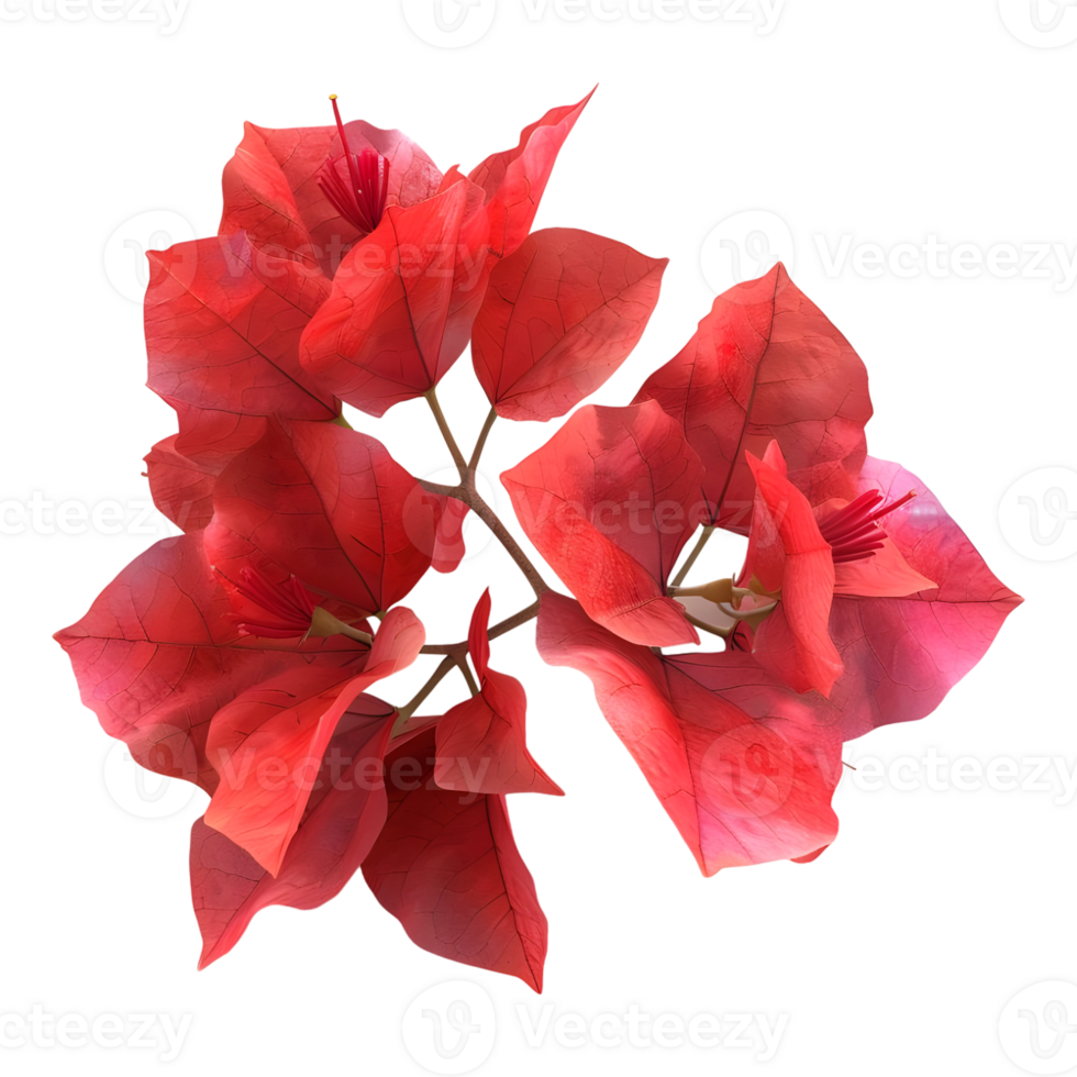 AI generated 3D Rendering of a Bougainvillea Flower on Transparent Background - Ai Generated png