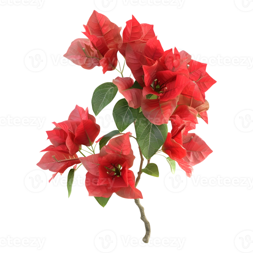AI generated 3D Rendering of a Bougainvillea Flower on Transparent Background - Ai Generated png