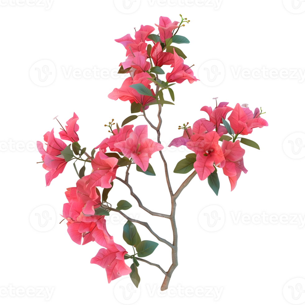 AI generated 3D Rendering of a Bougainvillea Flower on Transparent Background - Ai Generated png