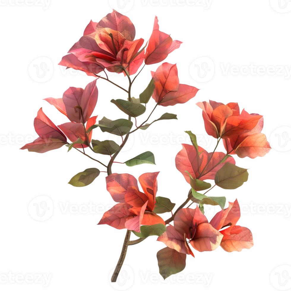 AI generated 3D Rendering of a Bougainvillea Flower on Transparent Background - Ai Generated png