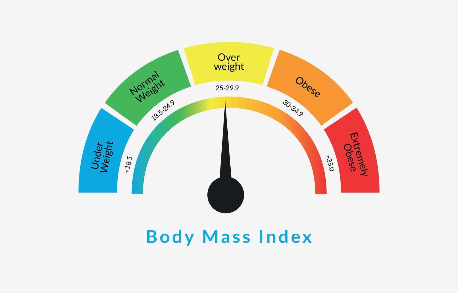 Body Mass Index Infographic Chart. Colorful BMI Chart Vector Illustration With White Isolated Background