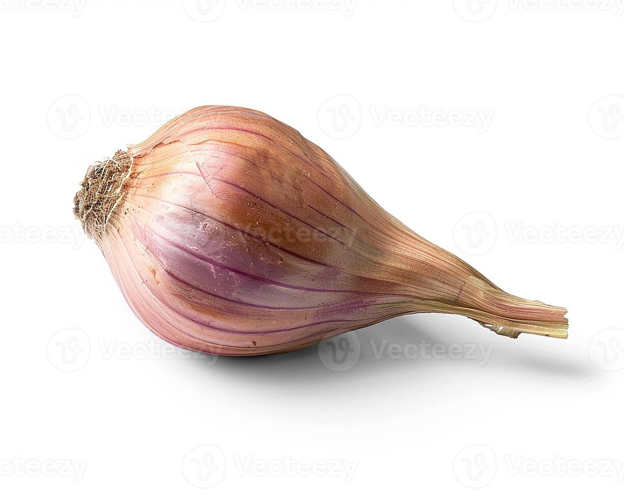 AI generated Fresh shallot isolated on white background. Close-up Shot. photo