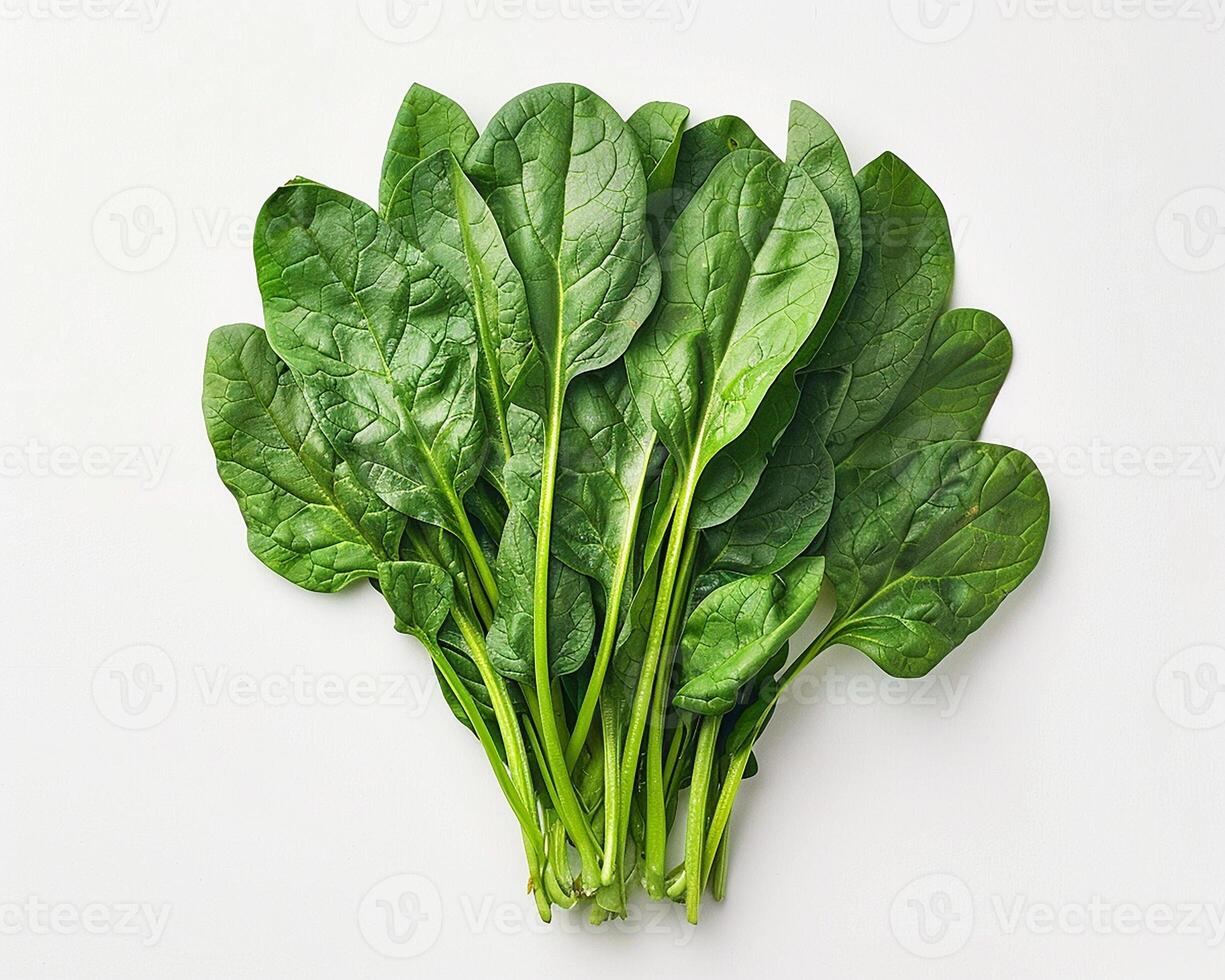 AI generated Fresh spinach isolated on white background. Close-up Shot. photo