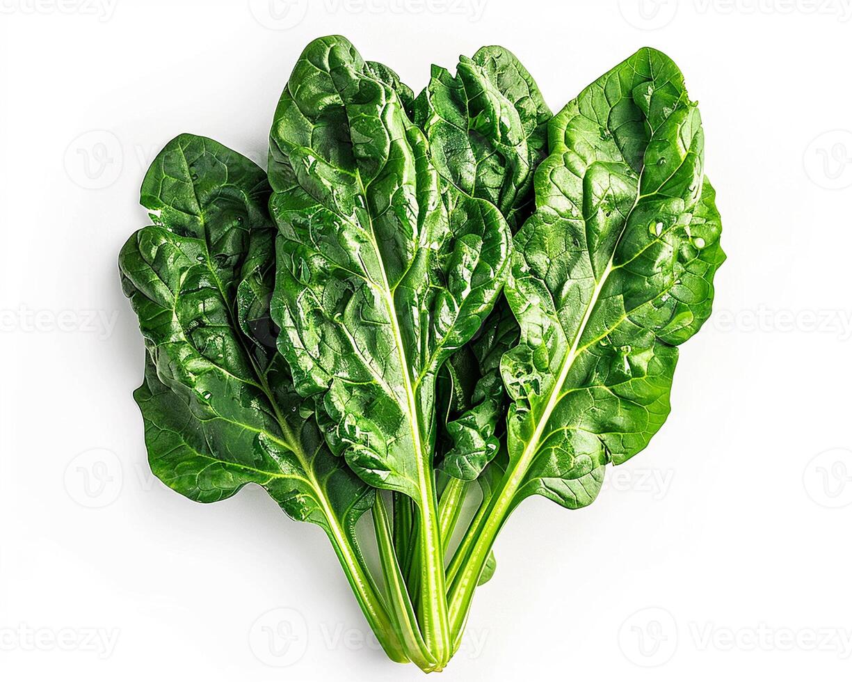 AI generated Fresh spinach isolated on white background. Close-up Shot. photo