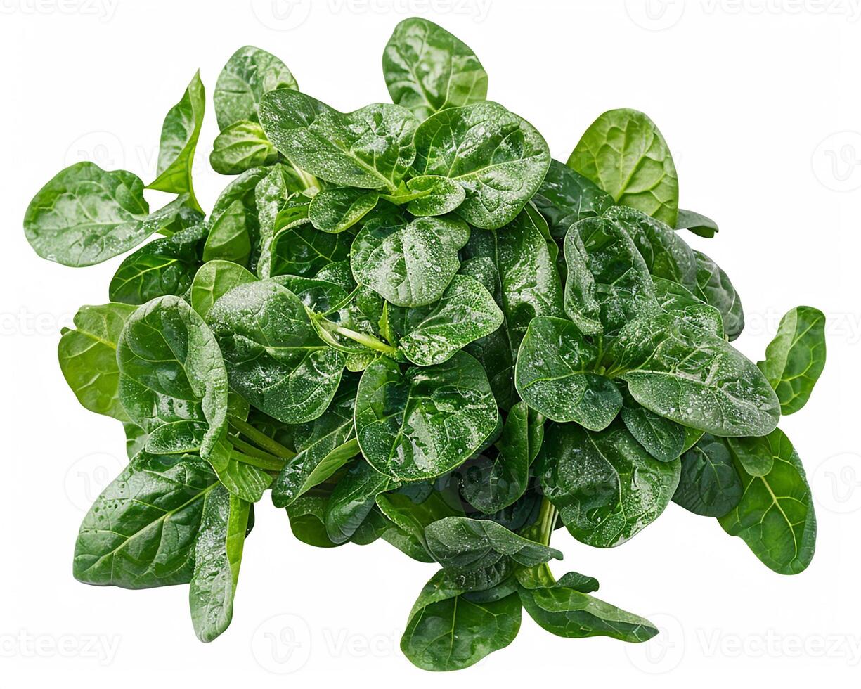 AI generated Fresh spinach isolated on white background. Close-up Shot. photo