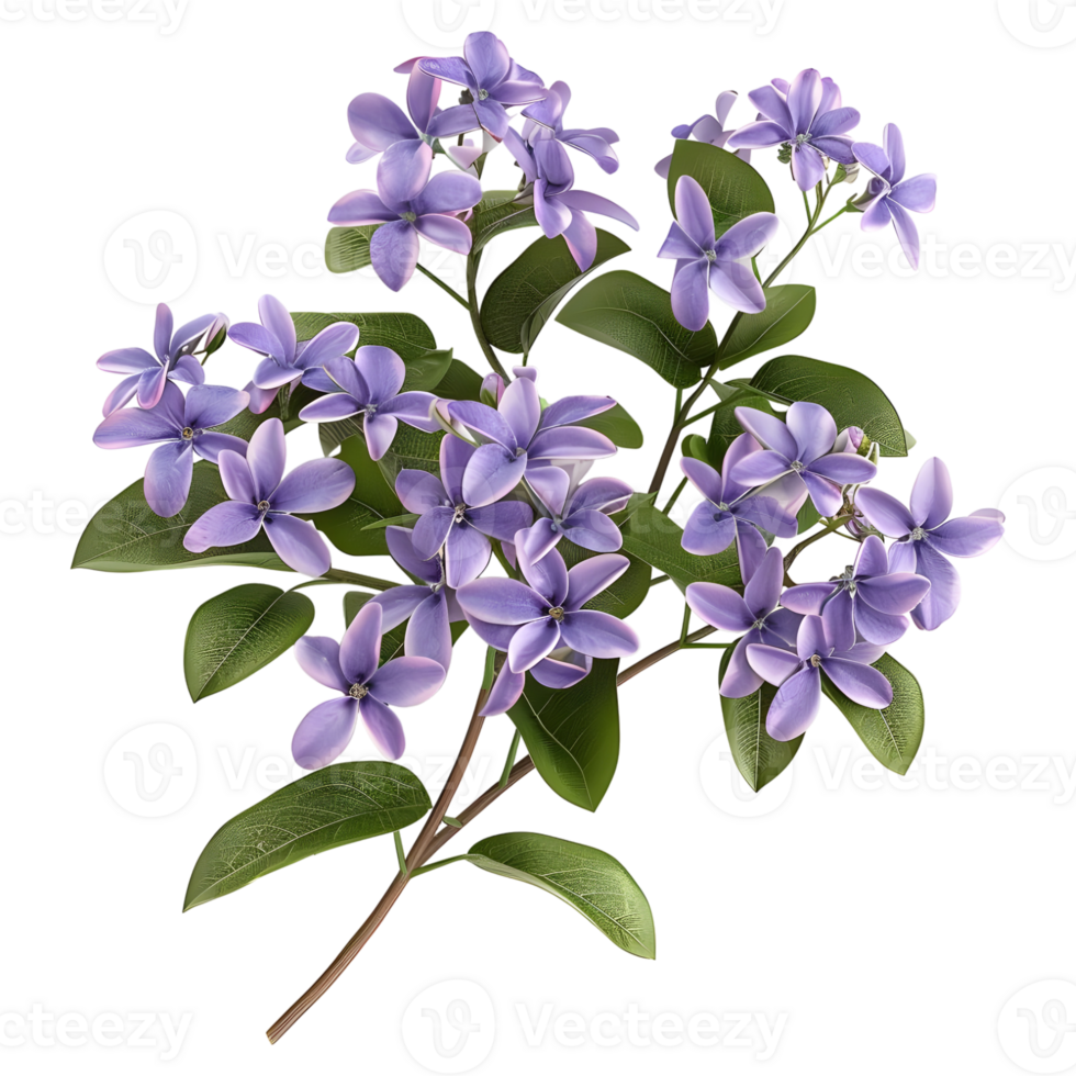 AI generated 3D Rendering of a Pseuderanthemum Flower on Transparent Background - Ai Generated png