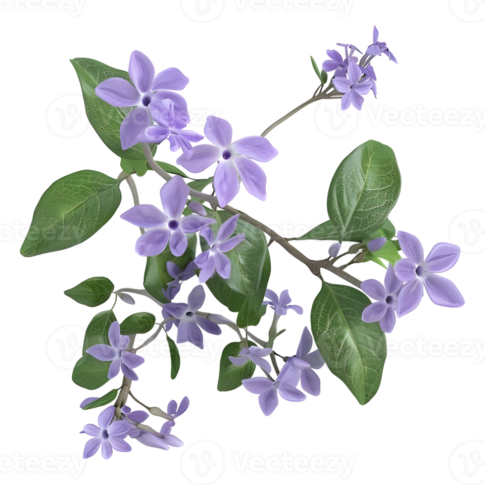 AI generated 3D Rendering of a Pseuderanthemum Flower on Transparent Background - Ai Generated png