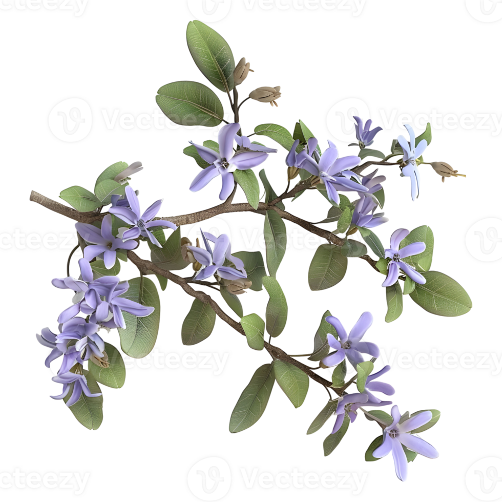 AI generated 3D Rendering of a Pseuderanthemum Flower on Transparent Background - Ai Generated png