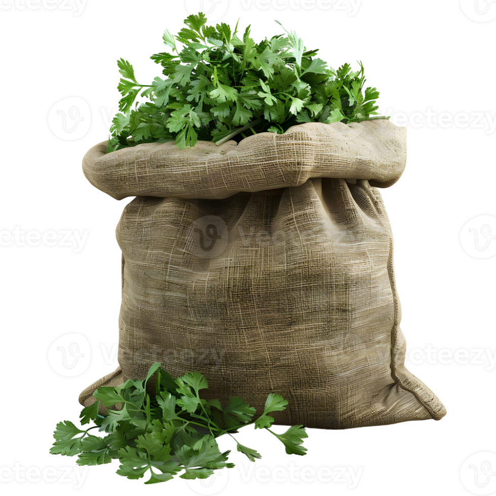 AI generated 3D Rendering of a Parsley in a Bag on Transparent Background - Ai Generated png