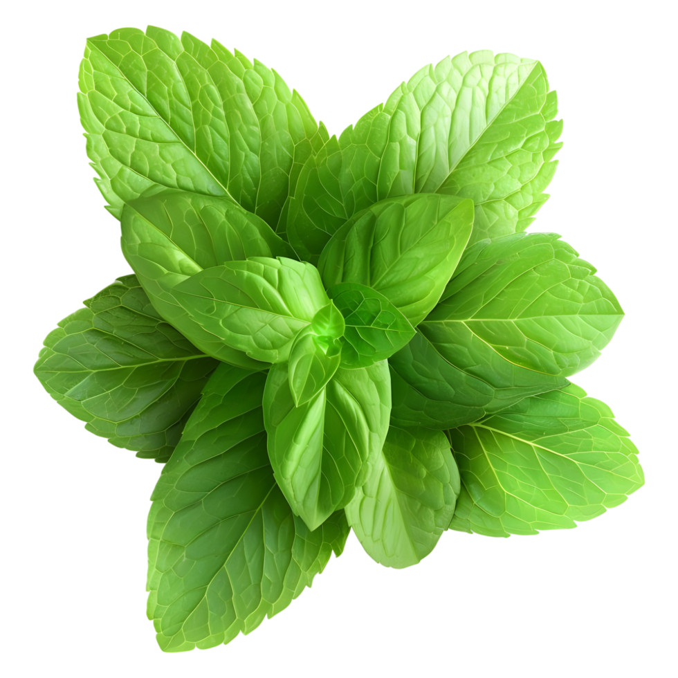 AI generated 3D Rendering of a Green Leaf's on Transparent Background - Ai Generated png