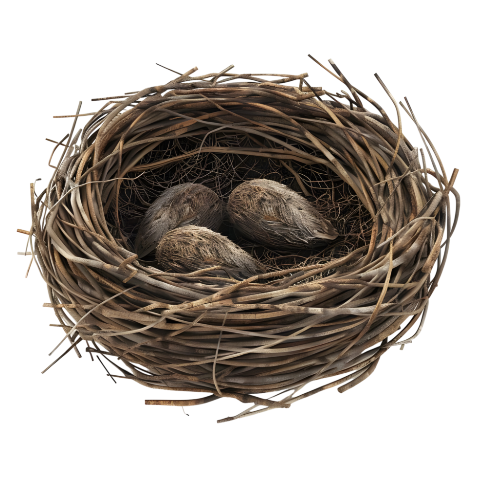 AI generated 3D Rendering of a Nest of Eggs on Transparent Background - Ai Generated png