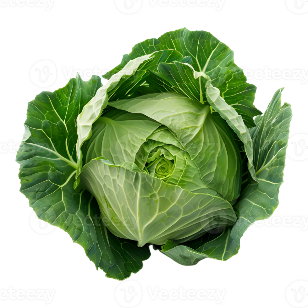 AI generated 3D Rendering of a Green Cabbage on Transparent Background - Ai Generated png