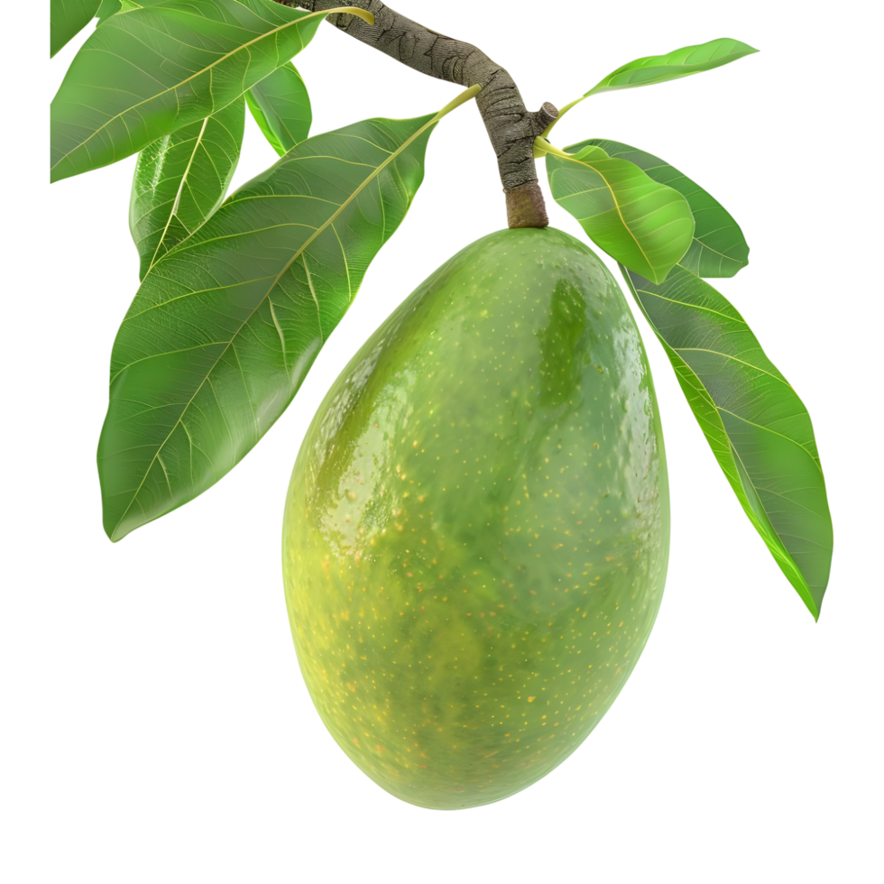 AI generated 3D Rendering of a Green Mango with Leaves on Transparent Background - Ai Generated png