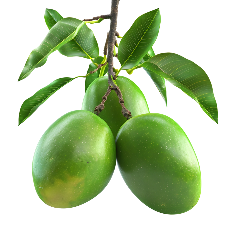 AI generated 3D Rendering of a Green Mango with Leaves on Transparent Background - Ai Generated png