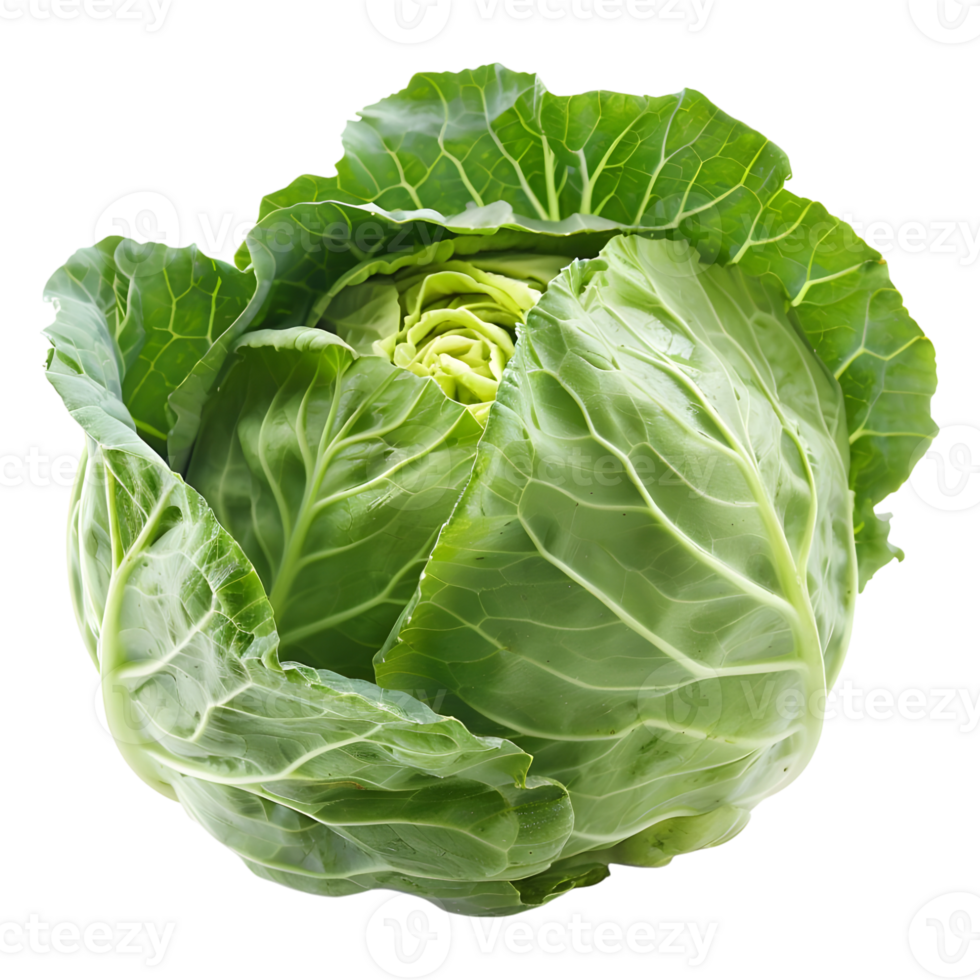 AI generated 3D Rendering of a Green Cabbage on Transparent Background - Ai Generated png