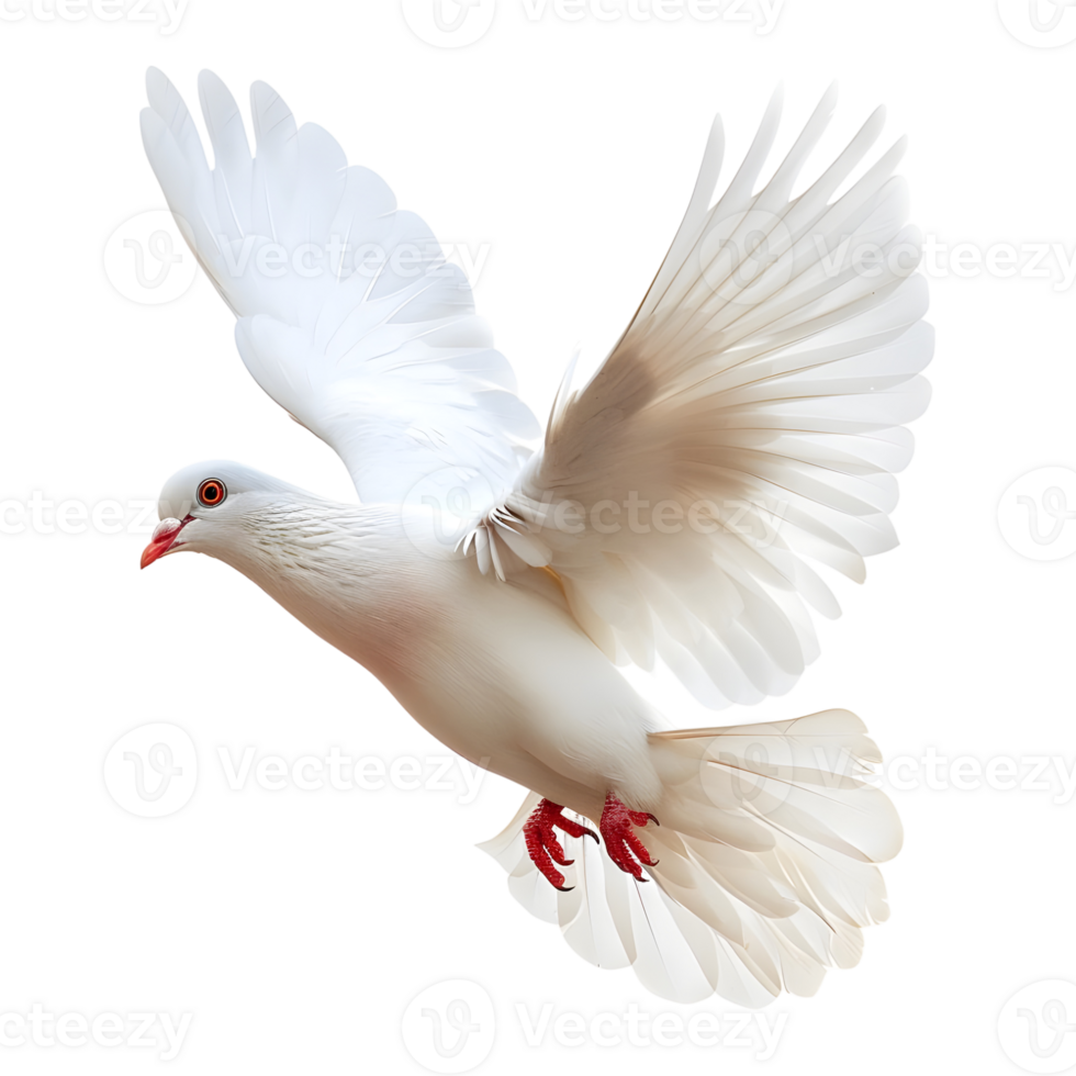 AI generated 3D Rendering of a Flying Dove on Transparent Background - Ai Generated png