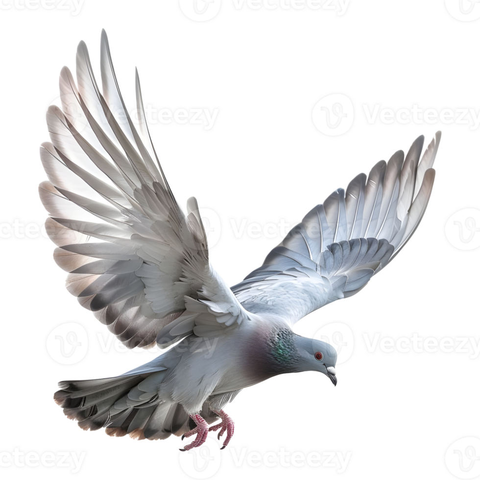 AI generated 3D Rendering of a Flying Dove on Transparent Background - Ai Generated png