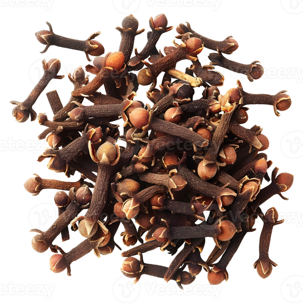 AI generated 3D Rendering of a Dry Cloves on Transparent Background - Ai Generated png