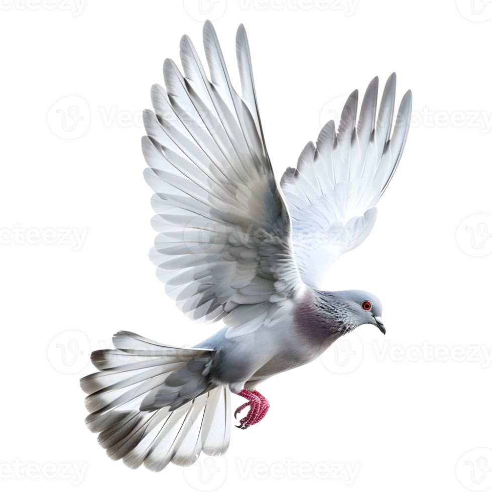 AI generated 3D Rendering of a Flying Dove on Transparent Background - Ai Generated png