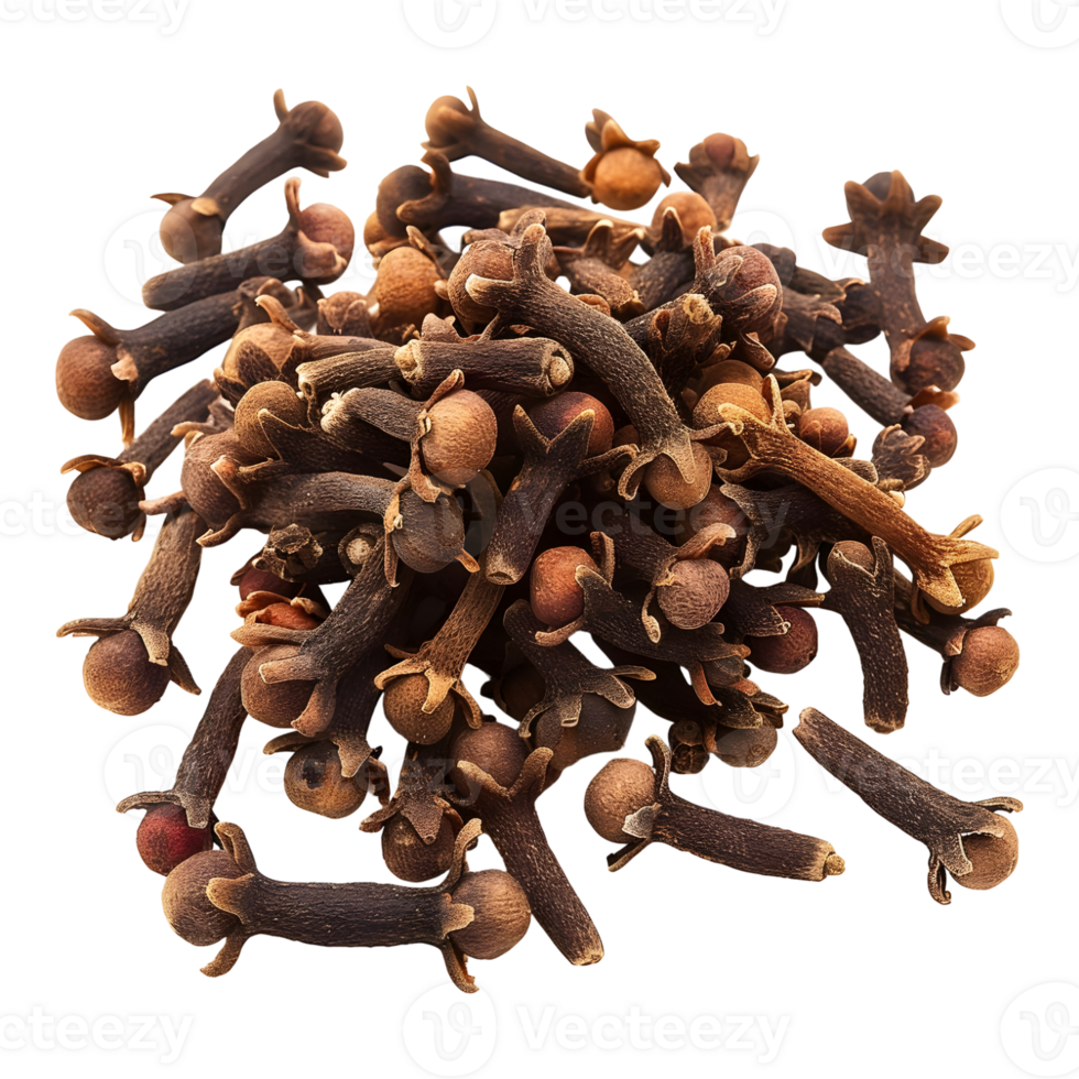 AI generated 3D Rendering of a Dry Cloves on Transparent Background - Ai Generated png
