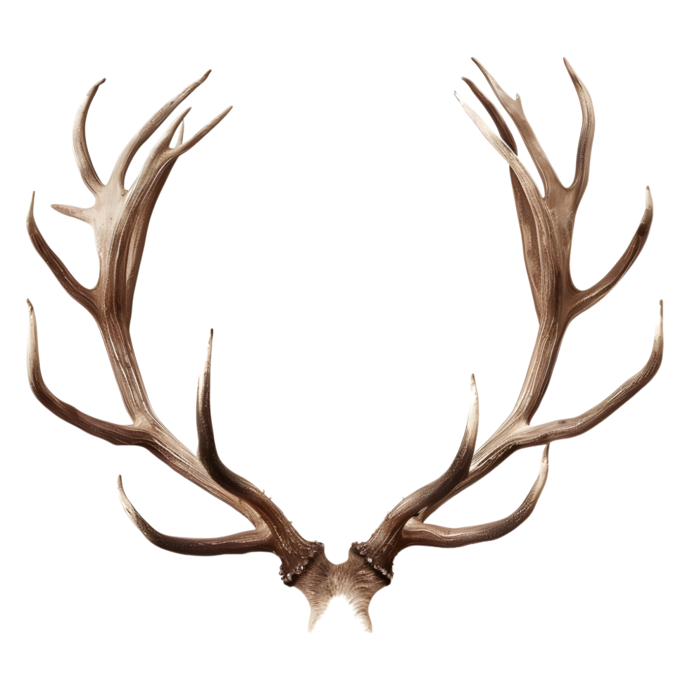 AI generated 3D Rendering of a Deer Horns on Transparent Background - Ai Generated png