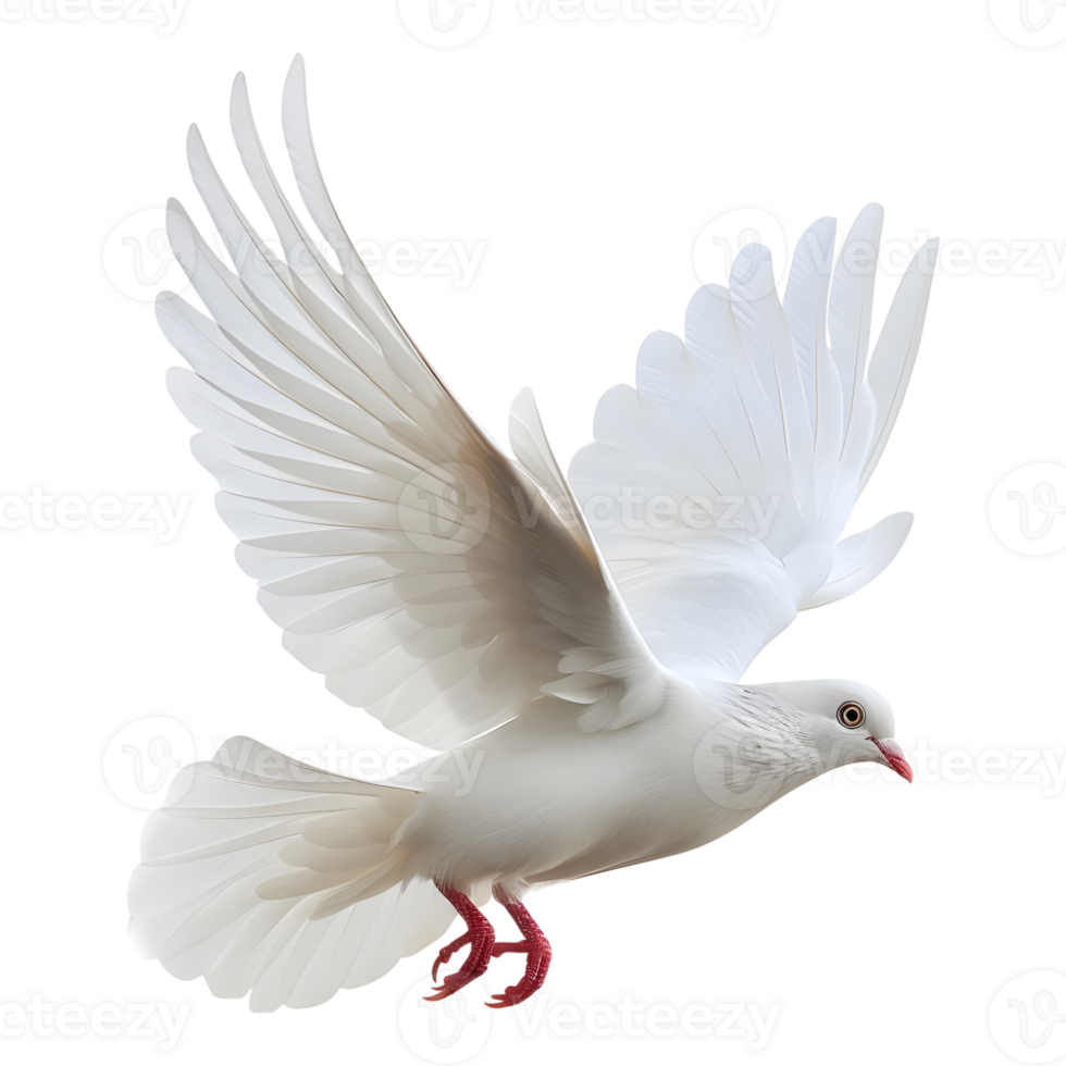 AI generated 3D Rendering of a Flying Dove on Transparent Background - Ai Generated png