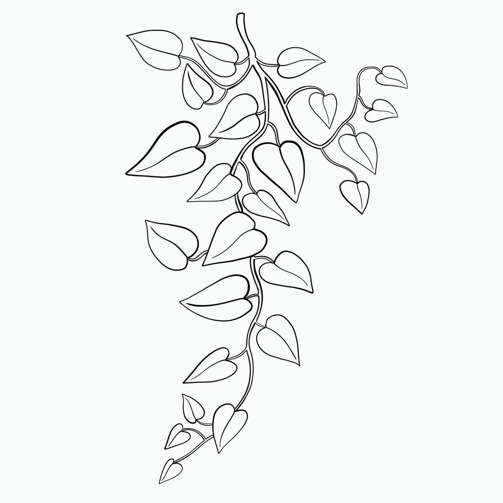 Floral ivy drawing decorative ornament flat design. vector