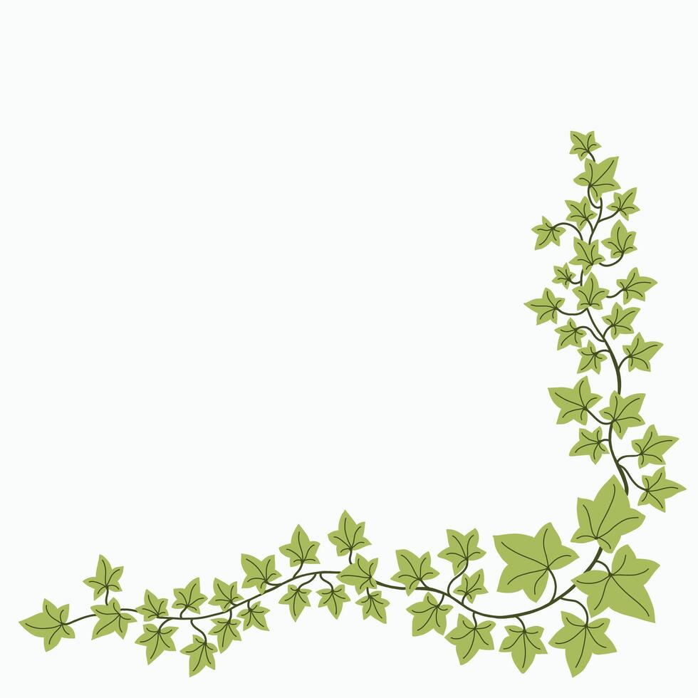 Floral ivy drawing decorative ornament flat design. vector