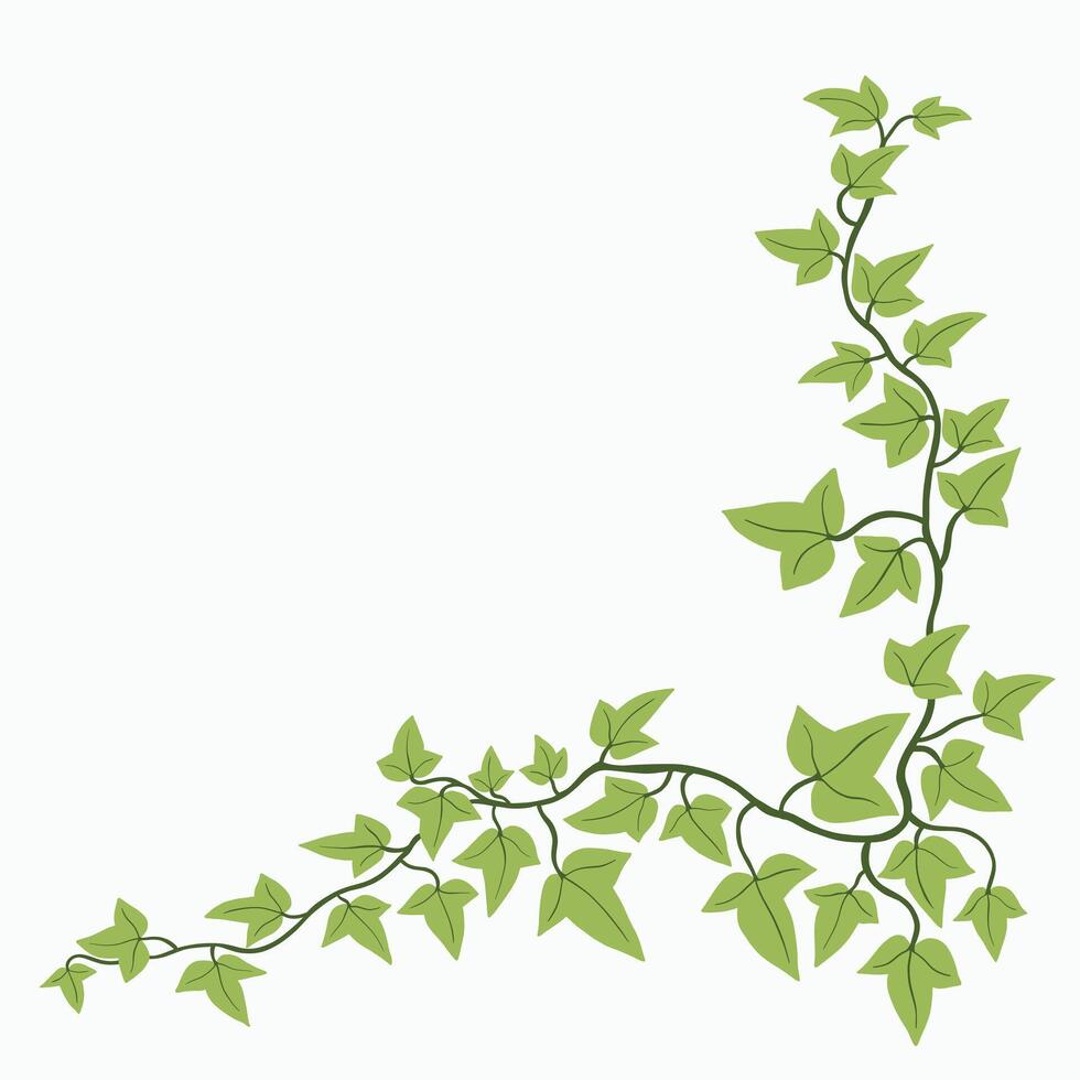 Floral ivy drawing decorative ornament flat design. vector