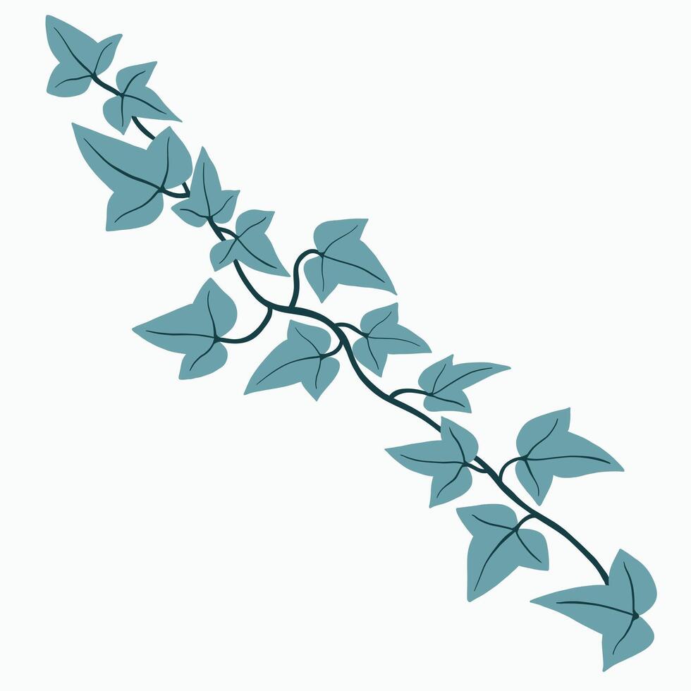 Floral ivy drawing decorative ornament flat design. vector