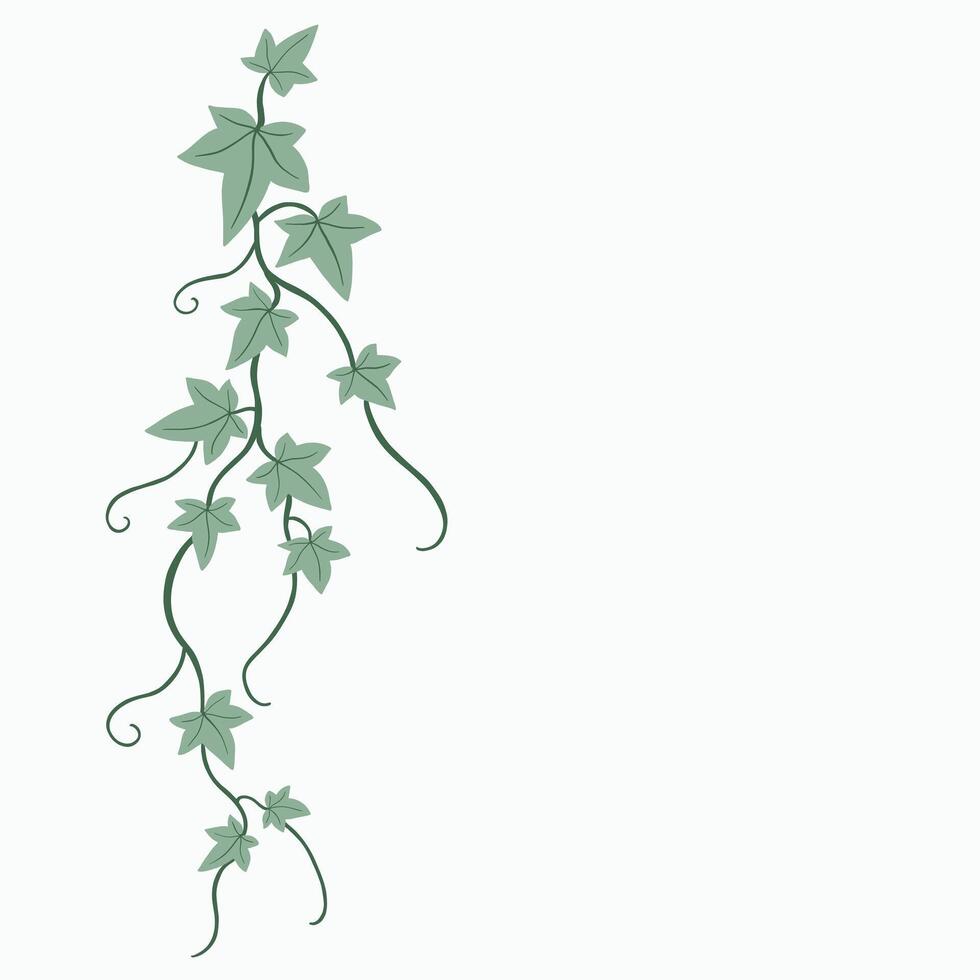 Floral ivy drawing decorative ornament flat design. vector