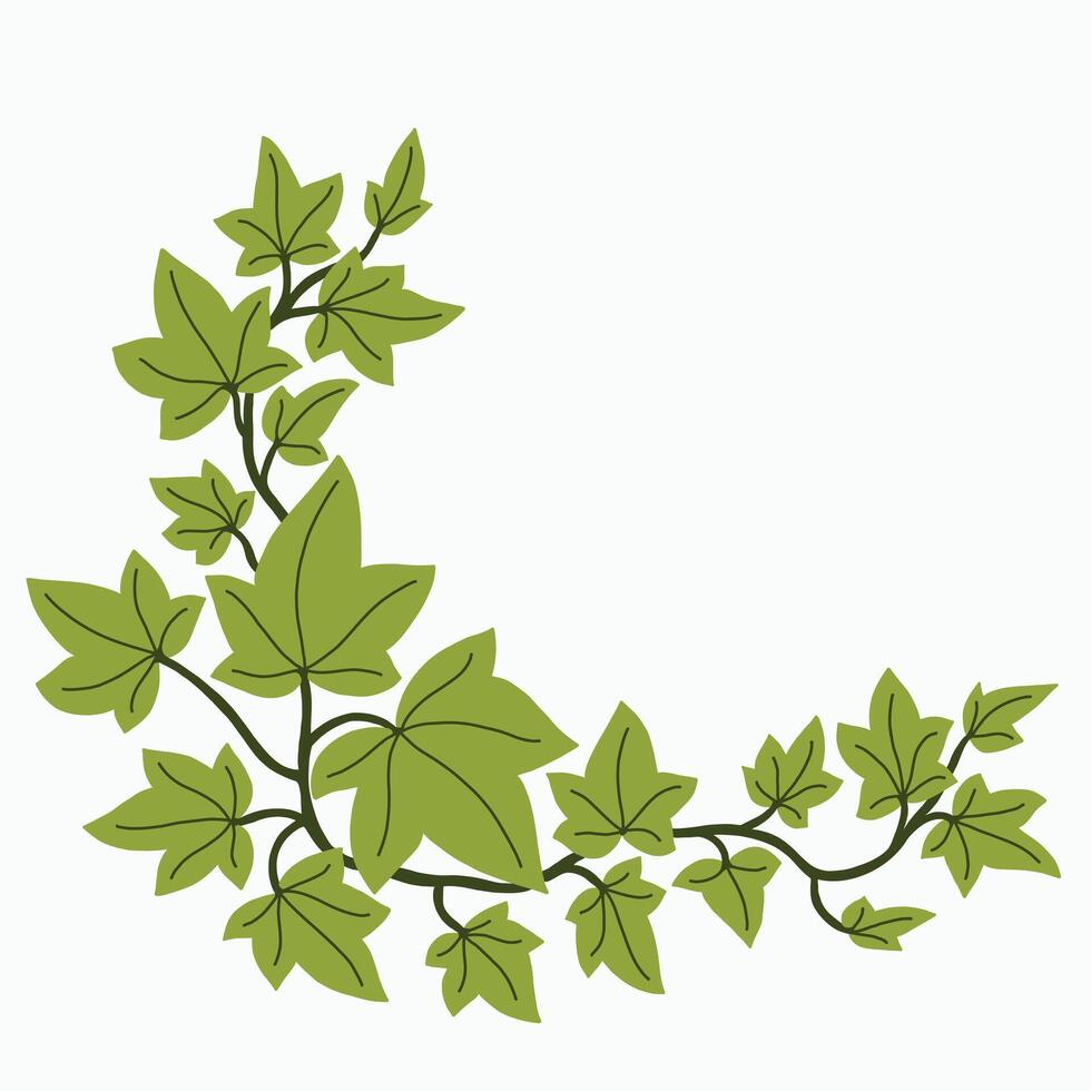 Floral ivy drawing decorative ornament flat design. vector
