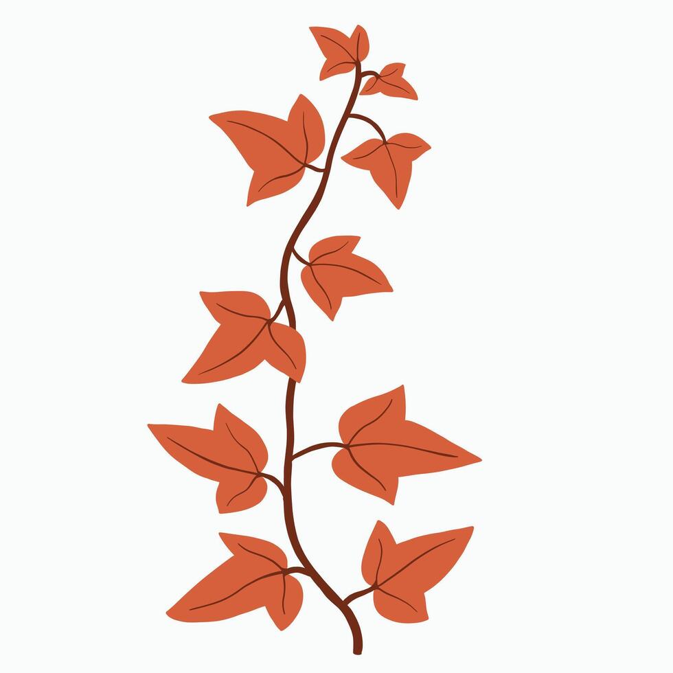 Floral ivy drawing decorative ornament flat design. vector