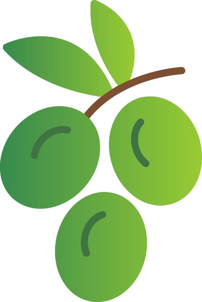 Olive Flat Gradient  Icon vector