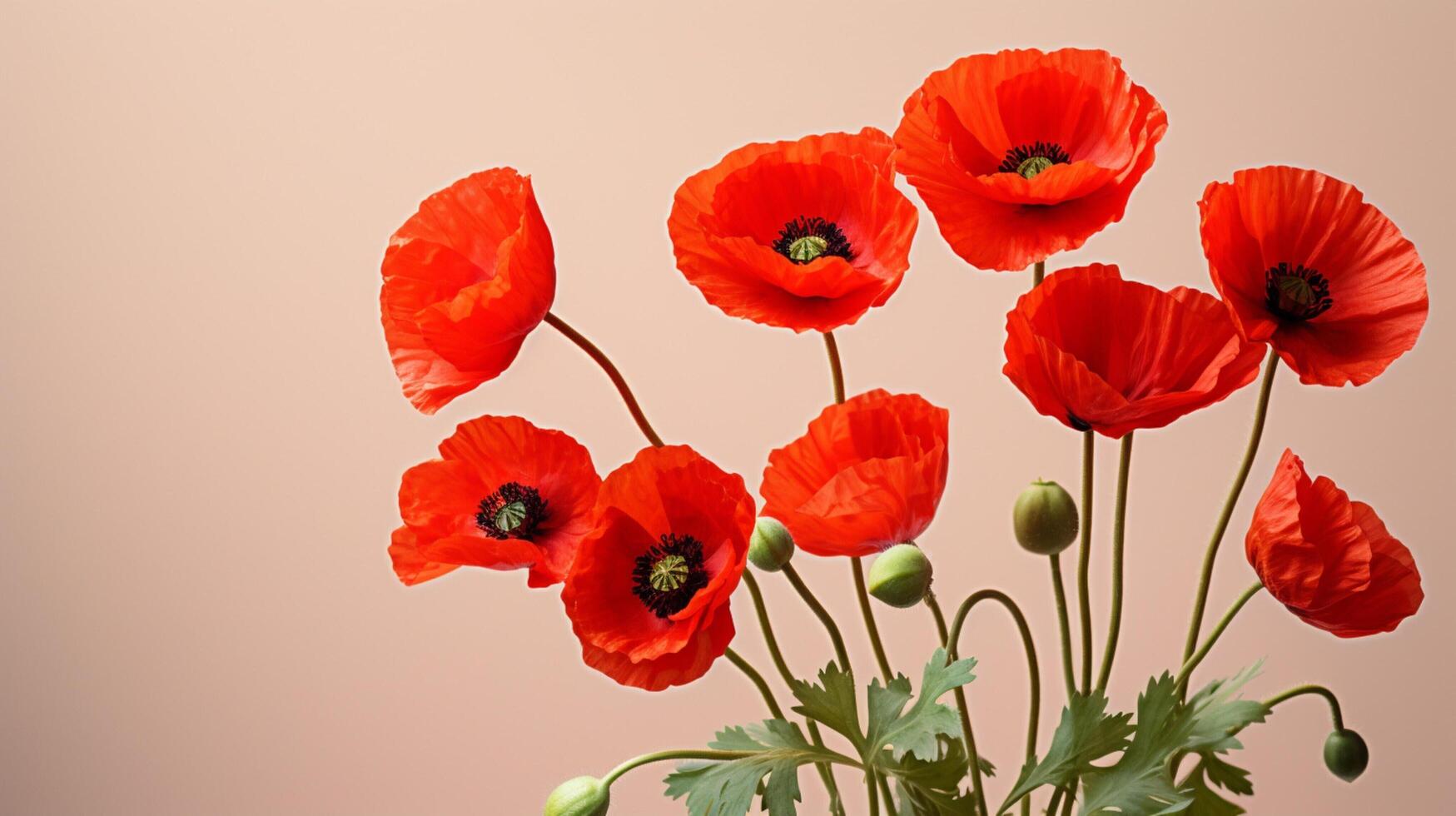 AI generated Poppy Floral Background photo